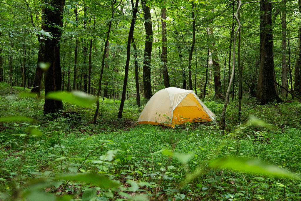 Yellow backpacking tent in forest